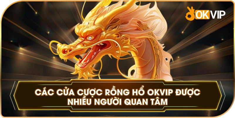 Các Cửa Cược Rồng Hổ OKVIP được nhiều người quan tâm
